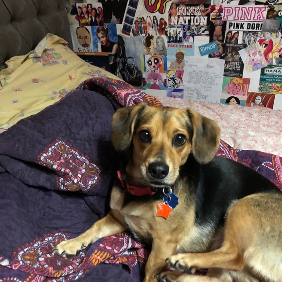 💗⭐️💗CHAR💗⭐️💗 - Picture 5 of 8